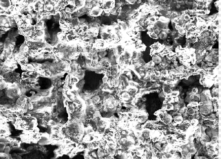 镍释放测试需要注意哪些事项?